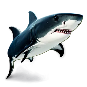Shark With Sunglasses Png 62 PNG image