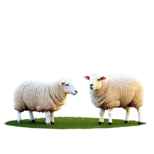 Sheep Family PNG Fjn
