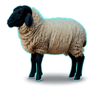 Sheep Silhouette PNG 05232024