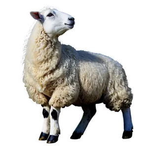 Sheep Silhouette PNG 19