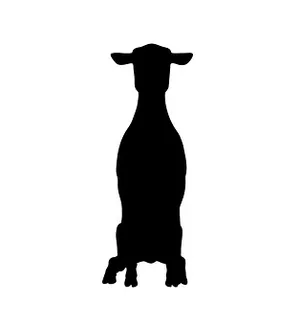 Sheep Silhouette Profile