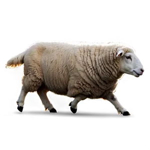 Sheep Vector PNG 05232024