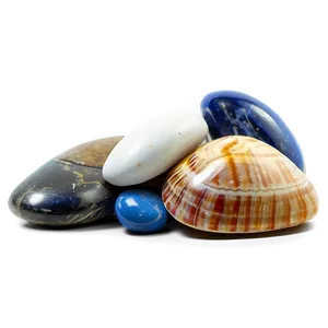 Shell And Beach Pebbles Png Gpx45 PNG image