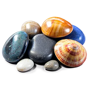 Shell And Beach Pebbles Png Sqs PNG image
