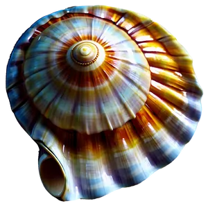 Shell In Ocean Breeze Png 05212024 PNG image