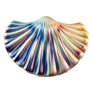 Shell In Ocean Breeze Png Rob34 PNG image