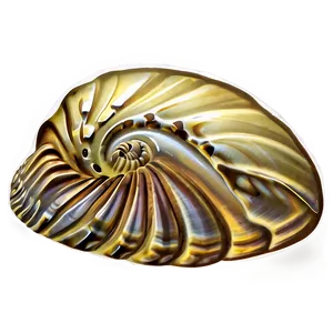 Shell In Sand Png 33 PNG image