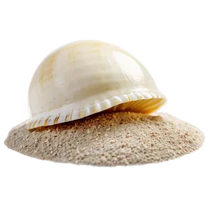 Shell In Sand Png Krc PNG image
