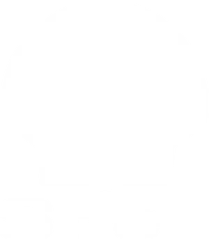 Shell Logo Blackand White PNG image