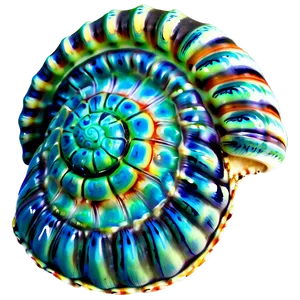 Shell On Ocean Floor Png 88 PNG image