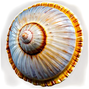 Shell Underwater Png Uvy71 PNG image