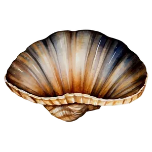 Shell Watercolor PNG Mvv