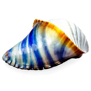 Shell Watercolor Png Ram96 PNG image