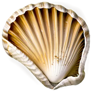 Shell With Ocean Background Png 05212024 PNG image