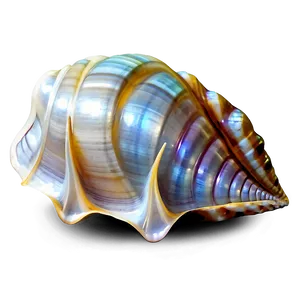Shell With Pearl Png 05212024 PNG image