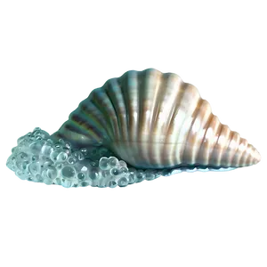 Shell With Sea Foam Png 39 PNG image