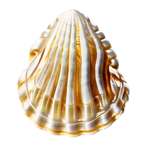 Shell With Waves Png 05212024 PNG image