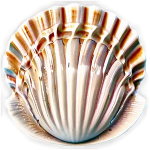 Shell With Waves Png 05212024 PNG image