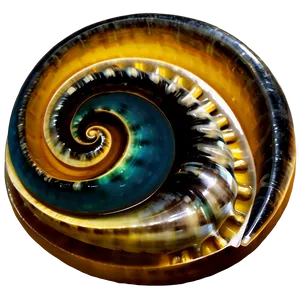 Shell With Waves Png Oso PNG image