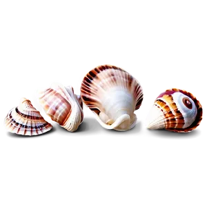 Shells And Coastal Scene PNG 06212024 PNG