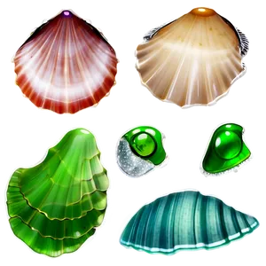 Shells And Seaglass Png 25 PNG image