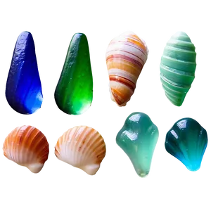 Shells And Seaglass Png Lmt PNG image