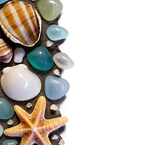 Shells And Seaglass Png Uju PNG image