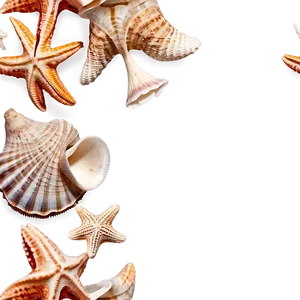 Shells And Starfish Png 06212024 PNG image