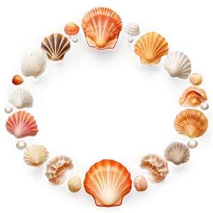 Shells Border Frame PNG Aqp60