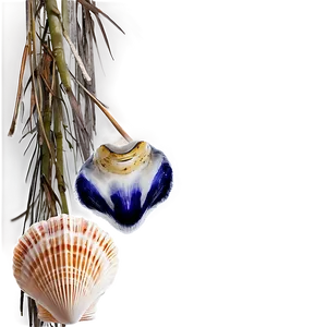 Shells Border Frame PNG Bai86