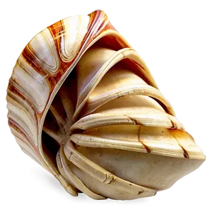 Shells Crafting Materials PNG Gdm50 PNG