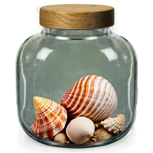 Shells In A Glass Jar PNG 06212024