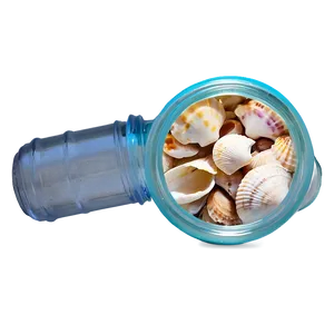 Shells In A Glass Jar PNG 06212024