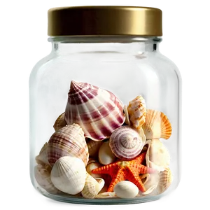 Shells In A Glass Jar PNG Pkh PNG
