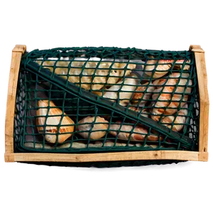 Shells In Net Bag Png Yuu68 PNG image