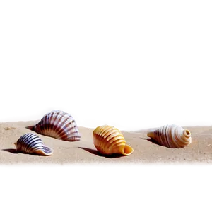 Shells On Sand Dunes PNG Dma5