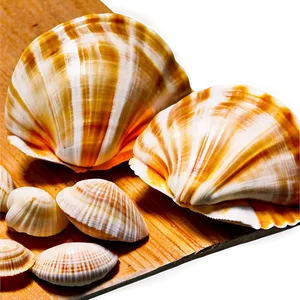 Shells On Wooden Surface PNG Drx72