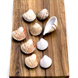 Shells On Wooden Surface PNG Nfj