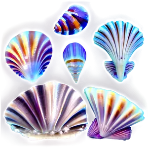 Shells Underwater PNG 06212024