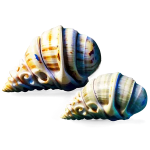 Shells With Aquatic Plants PNG 28 PNG
