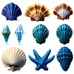 Shells With Marine Life PNG Tbg PNG