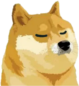 Shiba Inu Smug Expression Emote.png PNG image