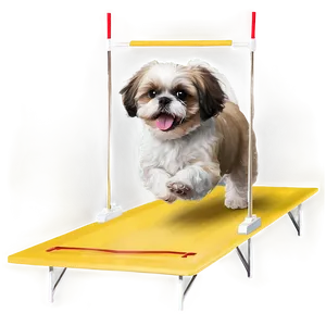 Shih Tzu Agility Training PNG 06242024