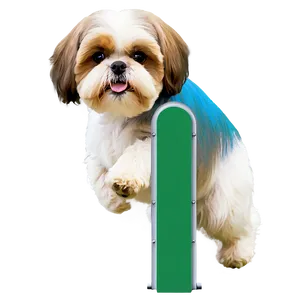 Shih Tzu Agility Training PNG 42
