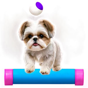 Shih Tzu Agility Training PNG Mku33