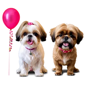 Shih Tzu Birthday Party Png 06242024 PNG image