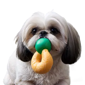 Shih Tzu Eating Treats Png Qvf PNG image