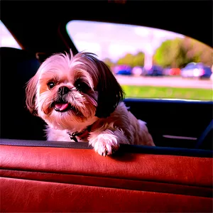 Shih Tzu Enjoying Car Ride PNG 15 PNG