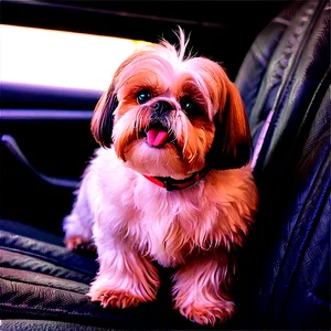 Shih Tzu Enjoying Car Ride PNG Esn48 PNG