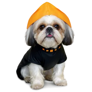 Shih Tzu Halloween Costume Png Dxj47 PNG image